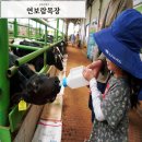 보람목장 이미지