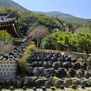 청해조경