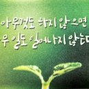 라라수입유통 이미지