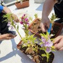 연제구치매안심센터 이미지