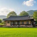 고령 촌캉스 숙소, 운수좋은날 예약 꿀팁 및 바베큐 후기