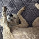 세븐일레븐 달성구지대로점 | 대구침대청소 제대로 받고 싶다면, 침구클리닉 매트리스 풀케어 후기 대구매트리스청소 대구침대케어 추천