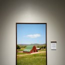 알렉스 | 알렉스키토 사진전 평일 관람 후기