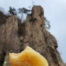 대둔산골 | 대둔산 맛집 대둔산골_자연산능이버섯전골
