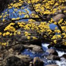 상위마을 입구 이미지