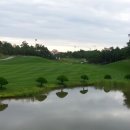 파인리즈골프장 이미지