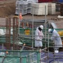 대조-009 이미지