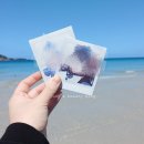 성호 민박 | 차 없는 뚜벅이들의 3박4일 제주 서부 여행 기록 ˚₊·—̳͟͞͞♡