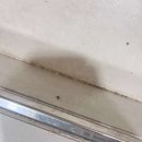 가평까사노블풀빌라펜션 이미지