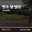 옥천 벌초 및 벌목 작업 아버님 단장용석실 안치 후 수목장 조성 후기