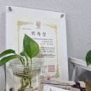 피부날다