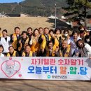 창녕상설시장 이미지