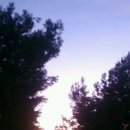 서해토지공인중개사사무소 이미지