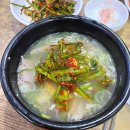 바로돼지 | 부산역 돼지국밥 맛집 바로앞 본전돼지국밥 내돈내산 후기