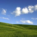 보리 PC Daum카페