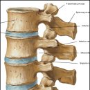 편한허리신경외과 이미지