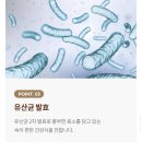 네이처발란스 이미지