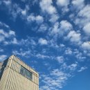 강남대로101길 15 이미지