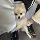 에이블 동물병원 이미지