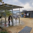 그랑프리 승마파크 이미지