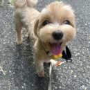 호두약국 이미지