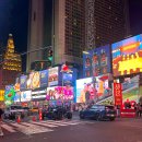 더뷰스퀘어 101동 | 뉴욕 탑뷰 나이트 버스 투어 탑승 후기 타임스퀘어 야간 버스 야경 추천