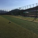 수동축구장 Daum카페