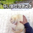 쥬니멀 | 🐾 쥬니멀 초정행궁점 방문 후기