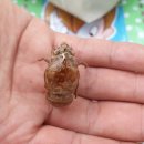 남지어린이공원 이미지