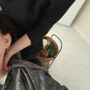 43 | 해운대두피관리 헤드스파 두피어스 두피관리 후기