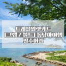 트레블월렛카드 그랩 볼트 동남아여행 필수어플
