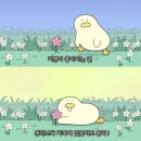 음파 | 실내수영초보 수린이 수영 6개월 솔직후기 음파부터 접영까지
