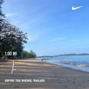 트레이닝팜트리 | 태국 카오락 :: 에덴 비치 리조트 앤 스파