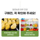[진영단감]쿠팡 입점 완료