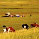 사막에서 차박 해봤어? 중국 이색 캠핑 명소 5선 이미지