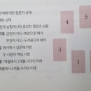 타로-나에게 묻고 나에게 답하다 이미지