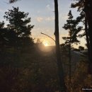 안태농장 이미지