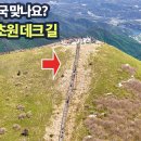 꿈결 같은 초원 철쭉 트레킹 14km/한국의 알프스/ 이미지