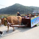 수도한우 이미지