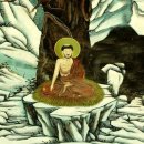 무우수(無憂樹)