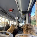 에덴양계장 | 이탈리아 로마 2편 : 수상한 성지순례