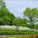 한밭수목원 이미지