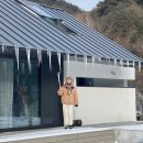 셀럽하우스 이미지