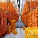 양촌연합의원 이미지