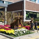 서구청사 이미지