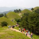 고령명품한우 이미지