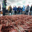 구룡포항 연합뉴스