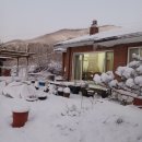 손의개농장 이미지