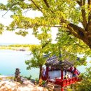 진평왕릉 화장실 | 남한강변 천년고찰, 여주 신륵사 - 황금빛 가을, 마음 쉬어가는 풍경 속으로