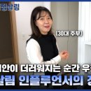 플래너스미디어